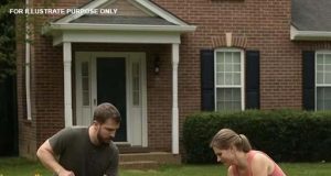vid