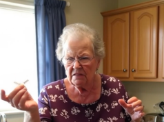vid