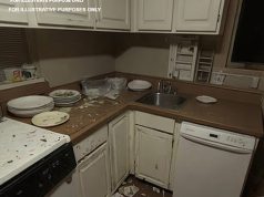 Cleaner Walked Into a Stranger’s Home for a Routine Job — Until a Pile of Forgotten Birthday Cards Shattered Her World vid