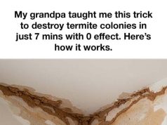 My grandpa was a champ!