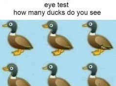 How Many Ducks Are In This Picture?