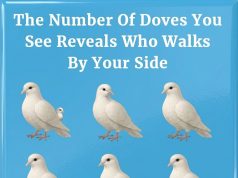 The Number Of Doves You See Reveals Who Walks By Your Side