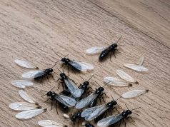 Is my house in trouble?