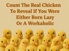 Count The Real Chicken To Reveal If You Were Either Born Lazy Or A Workaholic