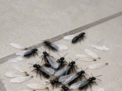 Is my house in trouble?