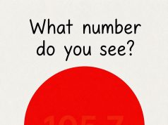 What Number Do You See?